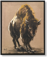 Bison - Anita Gaasbeek